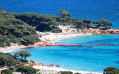 Plage de Palombaggia