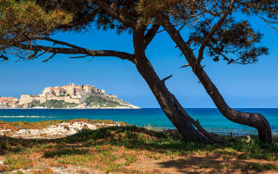 Plage de Calvi